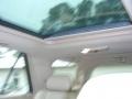 Stealth Gray - SRX V6 Photo No. 26
