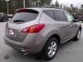 2010 Platinum Graphite Metallic Nissan Murano SL  photo #5