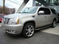 Quicksilver - Escalade ESV AWD Photo No. 1