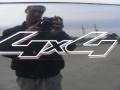 2004 Black Ford F150 Lariat SuperCrew 4x4  photo #23