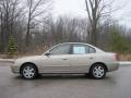 Champagne Metallic - Elantra GLS Sedan Photo No. 7