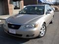 Golden Beige - Sonata GLS V6 Photo No. 2