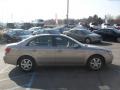 Golden Beige - Sonata GLS V6 Photo No. 5