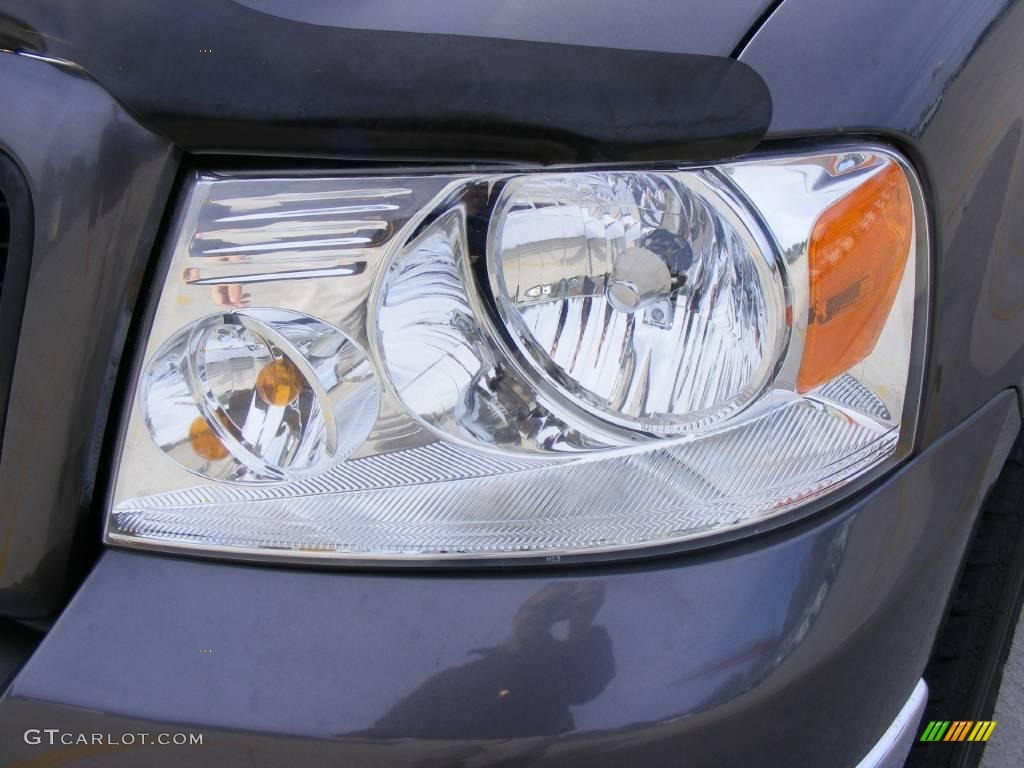 2006 F150 XLT SuperCrew - Dark Shadow Grey Metallic / Medium/Dark Flint photo #10