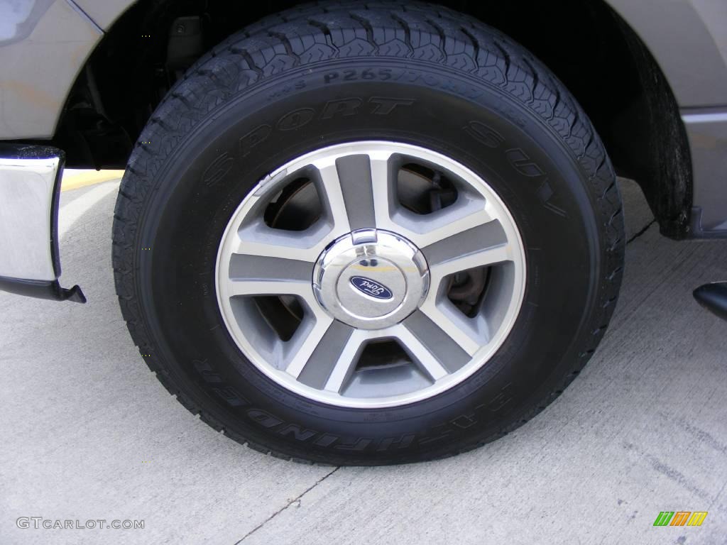 2006 F150 XLT SuperCrew - Dark Shadow Grey Metallic / Medium/Dark Flint photo #13