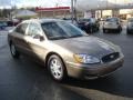 Arizona Beige Metallic - Taurus SEL Photo No. 5