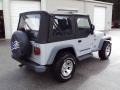 2004 Bright Silver Metallic Jeep Wrangler X 4x4  photo #8