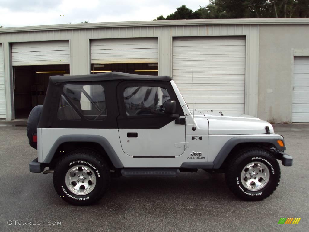 2004 Wrangler X 4x4 - Bright Silver Metallic / Dark Slate Gray photo #9
