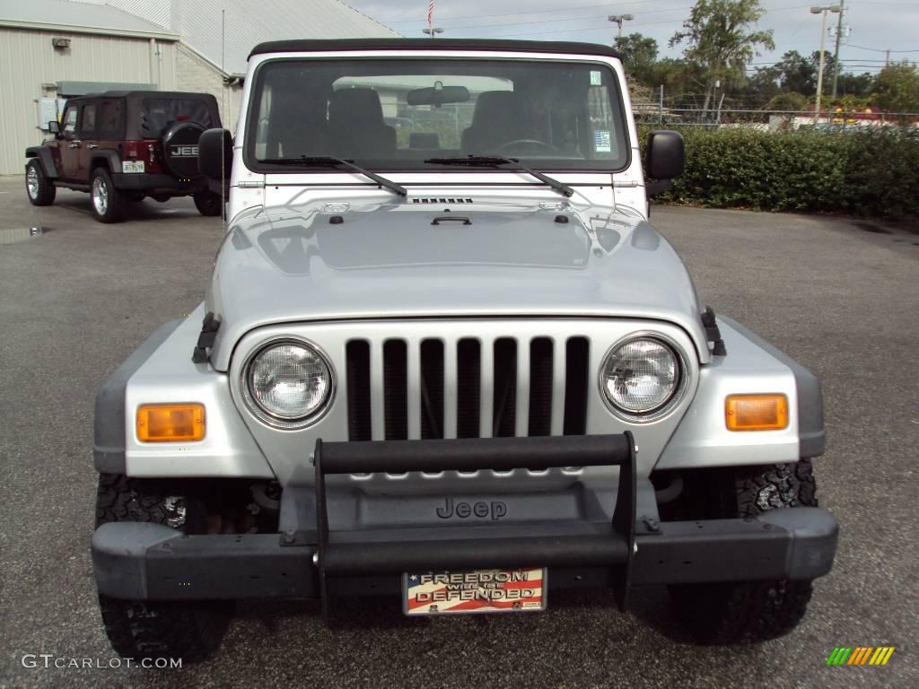 2004 Wrangler X 4x4 - Bright Silver Metallic / Dark Slate Gray photo #12