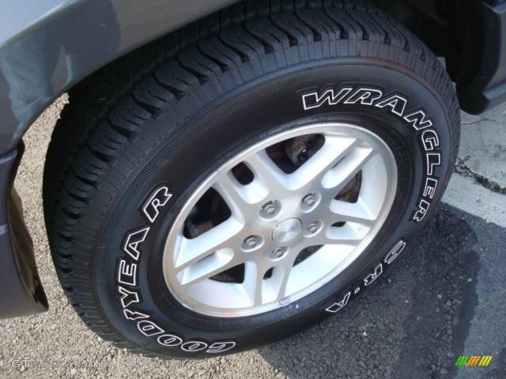 2004 Grand Cherokee Laredo 4x4 - Graphite Metallic / Dark Slate Gray photo #9