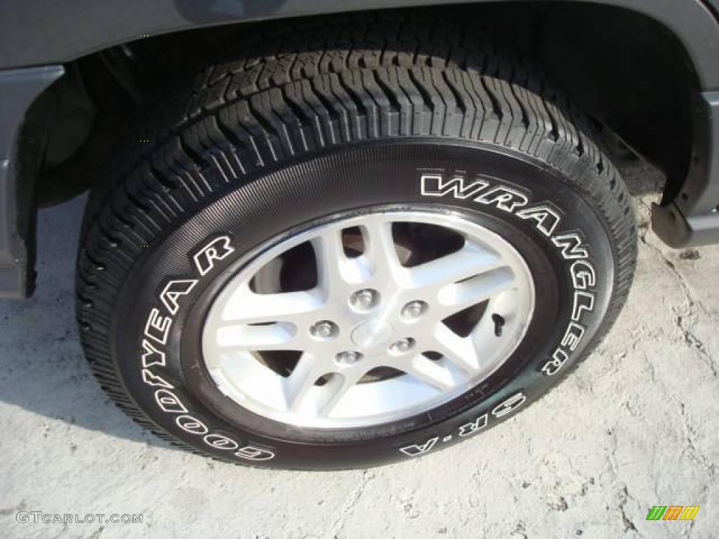 2004 Grand Cherokee Laredo 4x4 - Graphite Metallic / Dark Slate Gray photo #12