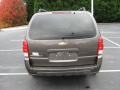 2008 Desert Brown Metallic Chevrolet Uplander LT  photo #25