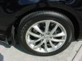 Black Obsidian - G 35 Sedan Photo No. 12