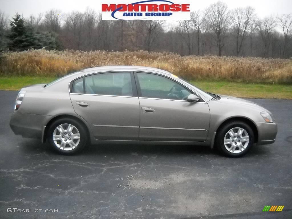 2005 Altima 2.5 S - Polished Pewter Metallic / Frost Gray photo #1