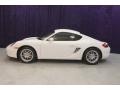 Carrara White - Cayman  Photo No. 5