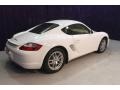 Carrara White - Cayman  Photo No. 15