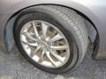 Platinum Graphite - G 37 Sedan Photo No. 18