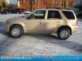 Dune Pearl Metallic - Mariner Luxury 4WD Photo No. 5