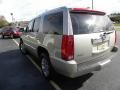 Quicksilver - Escalade  Photo No. 16