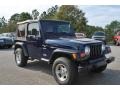 2001 Patriot Blue Pearl Jeep Wrangler Sport 4x4  photo #7