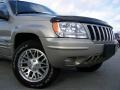 2003 Light Pewter Metallic Jeep Grand Cherokee Limited 4x4  photo #2