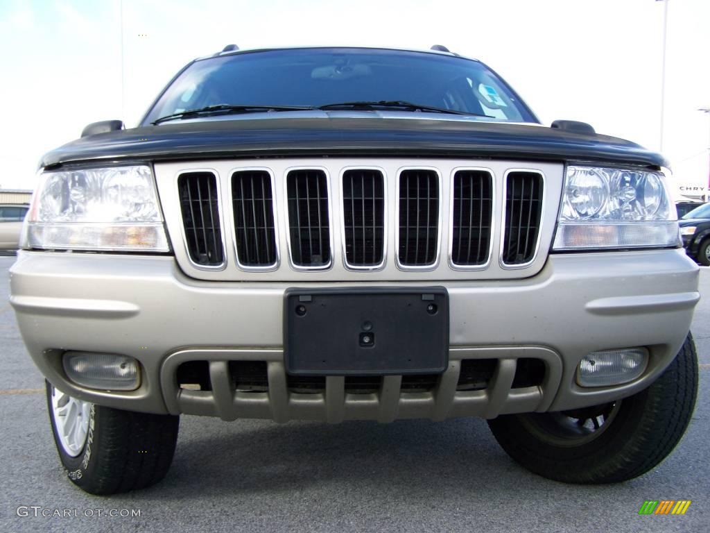 2003 Grand Cherokee Limited 4x4 - Light Pewter Metallic / Dark Slate Gray photo #3