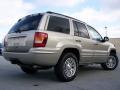 2003 Light Pewter Metallic Jeep Grand Cherokee Limited 4x4  photo #7