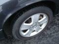 2004 Midnight Grey Metallic Ford Crown Victoria LX  photo #9
