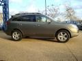 2008 Natural Khaki Metallic Hyundai Veracruz Limited  photo #6