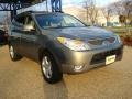 2008 Natural Khaki Metallic Hyundai Veracruz Limited  photo #7