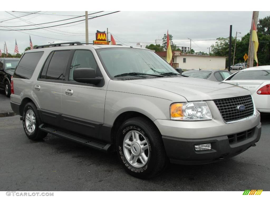 2006 Expedition XLT - Silver Birch Metallic / Medium Flint Grey photo #1