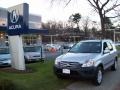 Satin Silver Metallic - CR-V EX 4WD Photo No. 1