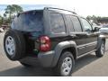 Black Clearcoat - Liberty Sport Photo No. 5