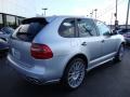 2010 Crystal Silver Metallic Porsche Cayenne GTS  photo #7