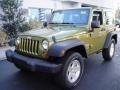 Rescue Green Metallic - Wrangler X 4x4 Photo No. 3