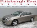 Polished Pewter Metallic - Altima 3.5 SE Photo No. 1