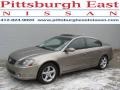 2006 Polished Pewter Metallic Nissan Altima 3.5 SE  photo #1