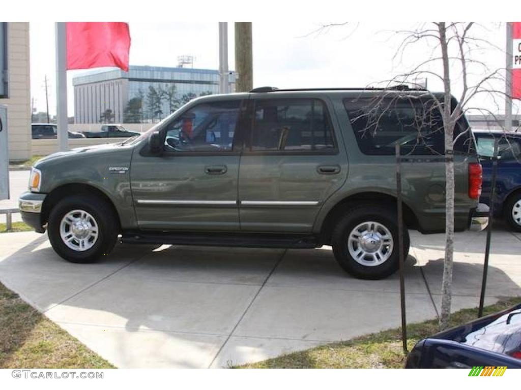 2000 Expedition XLT - Estate Green Metallic / Medium Parchment photo #1