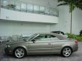 Alpaka Beige Metallic - A4 2.0T Cabriolet Photo No. 2