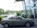 Alpaka Beige Metallic - A4 2.0T Cabriolet Photo No. 6