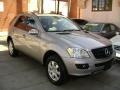 Pewter Metallic - ML 350 4Matic Photo No. 1