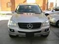 2006 Pewter Metallic Mercedes-Benz ML 350 4Matic  photo #18