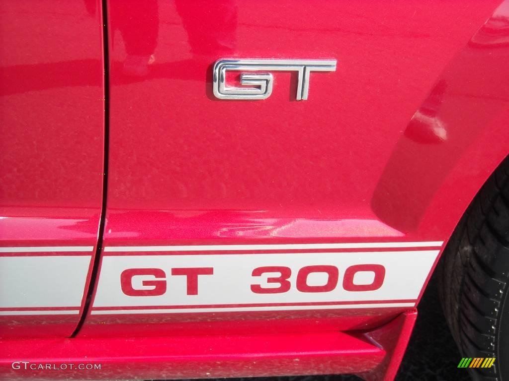2007 Mustang GT Premium Coupe - Redfire Metallic / Medium Parchment photo #15