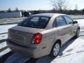 2008 Champagne Beige Metallic Suzuki Forenza   photo #5