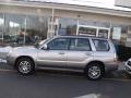 Crystal Gray Metallic - Forester 2.5 X L.L.Bean Edition Photo No. 2