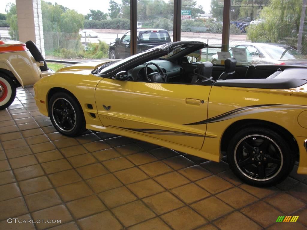 2002 Firebird Trans Am WS-6 Convertible - Collector Edition Yellow / Ebony Black photo #2