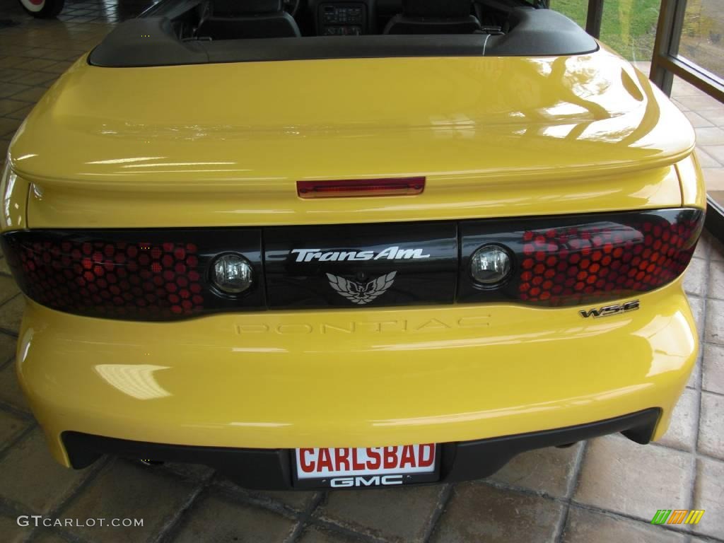2002 Firebird Trans Am WS-6 Convertible - Collector Edition Yellow / Ebony Black photo #3
