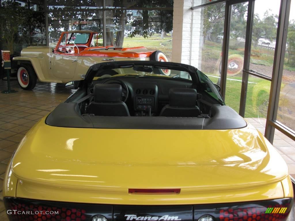 2002 Firebird Trans Am WS-6 Convertible - Collector Edition Yellow / Ebony Black photo #4