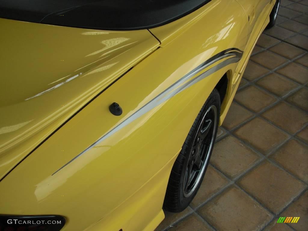 2002 Firebird Trans Am WS-6 Convertible - Collector Edition Yellow / Ebony Black photo #6