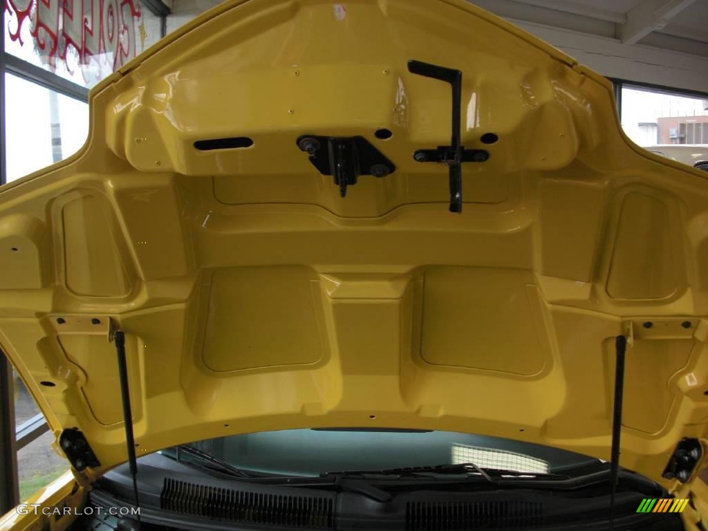 2002 Firebird Trans Am WS-6 Convertible - Collector Edition Yellow / Ebony Black photo #28